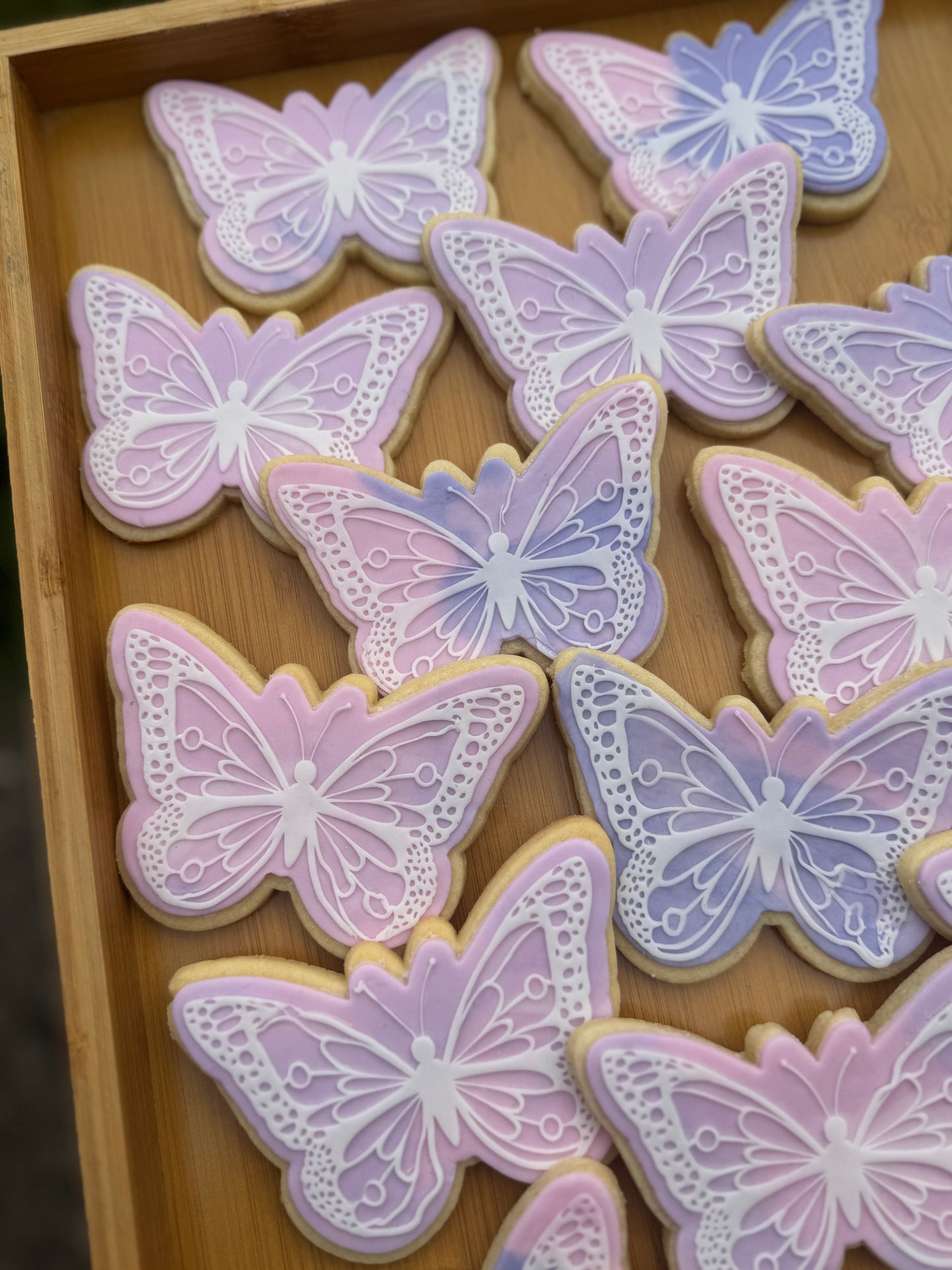 Butterfly #2