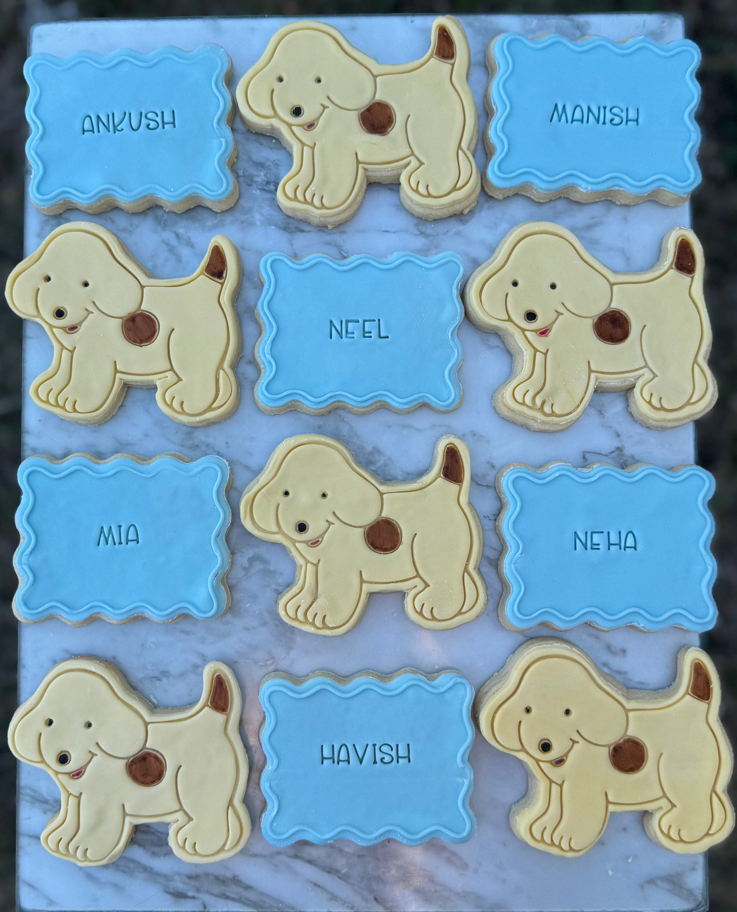 Spot the Dog Cookie