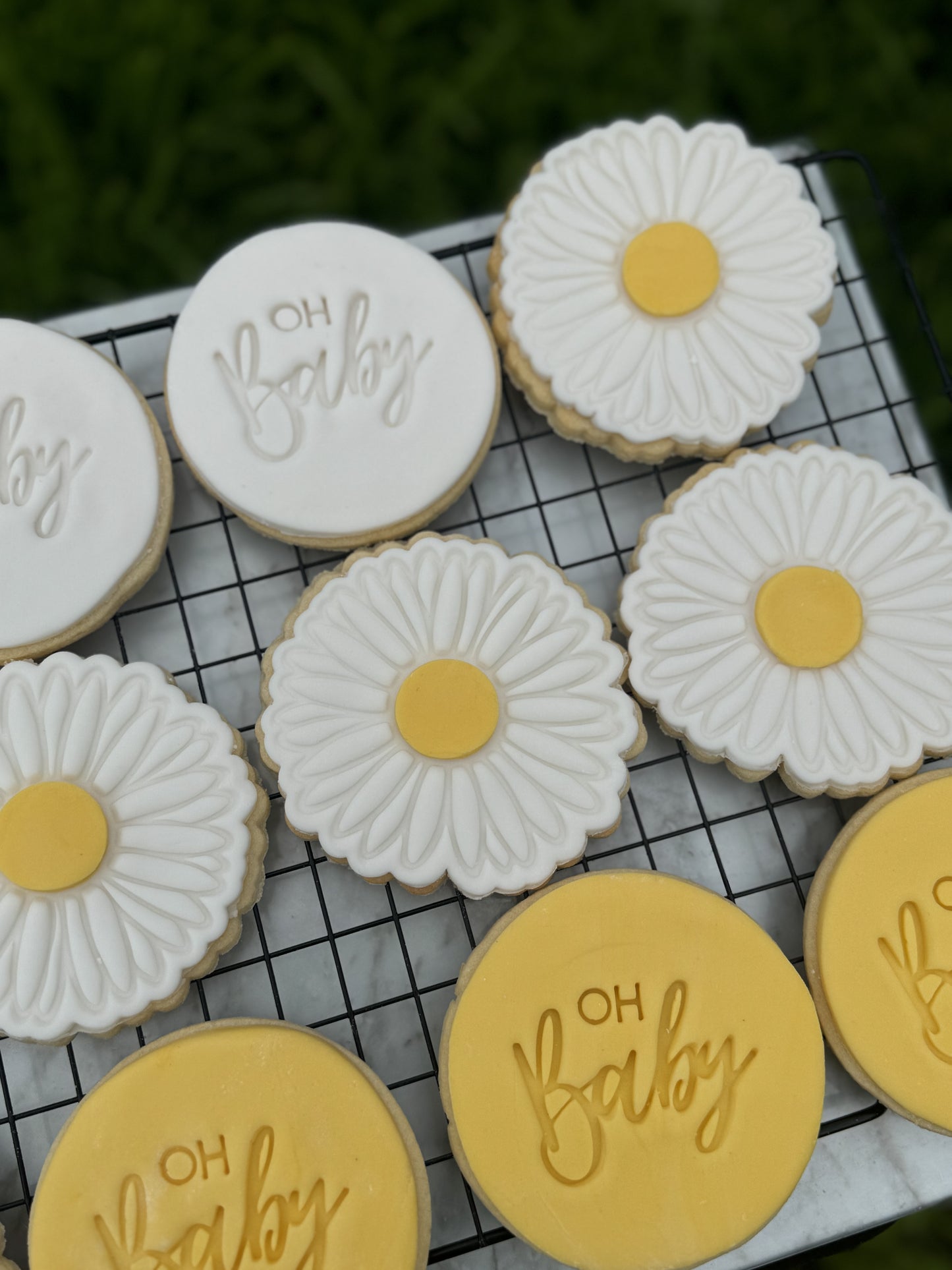 Daisy Cookie
