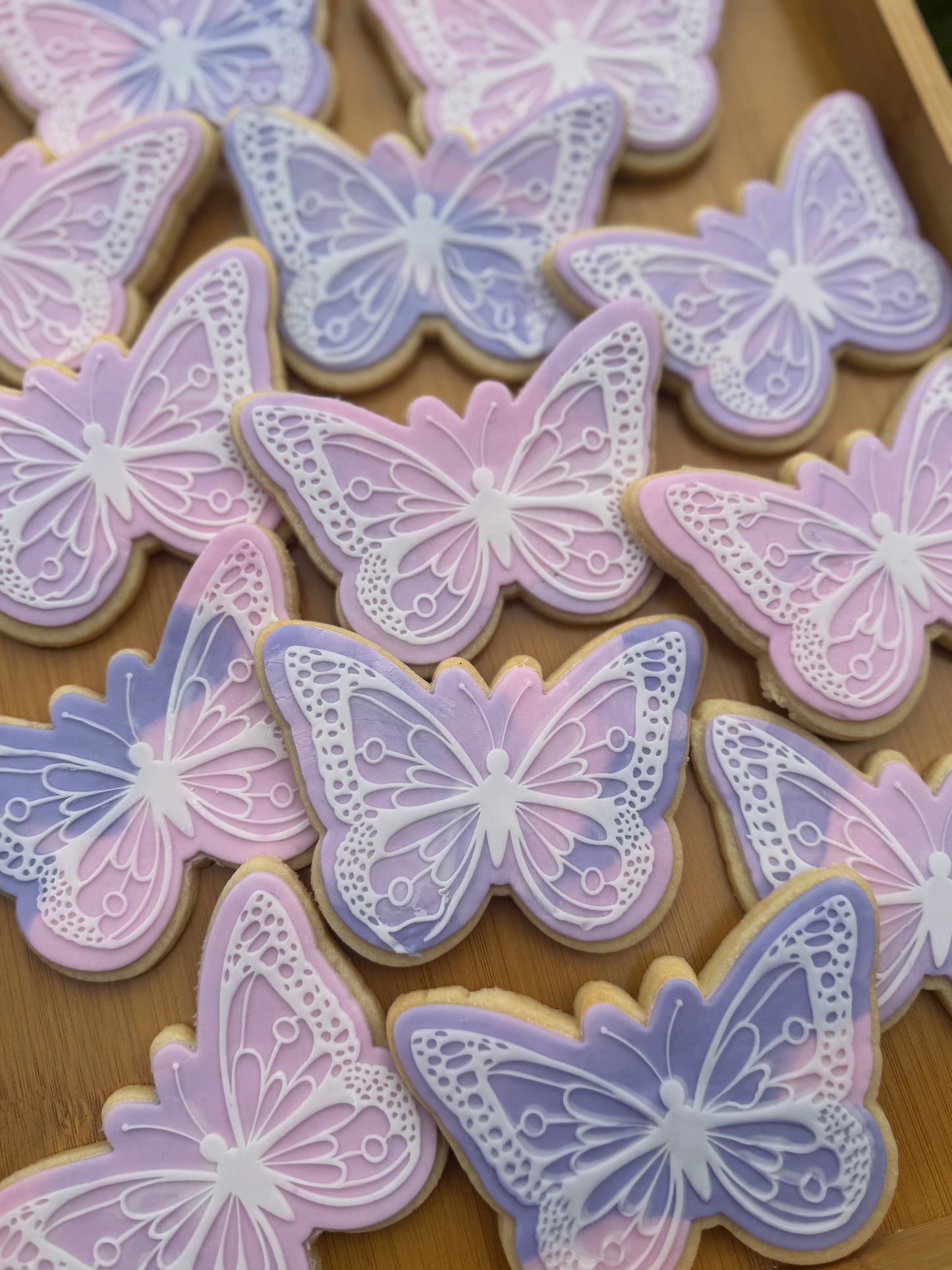 Butterfly #2