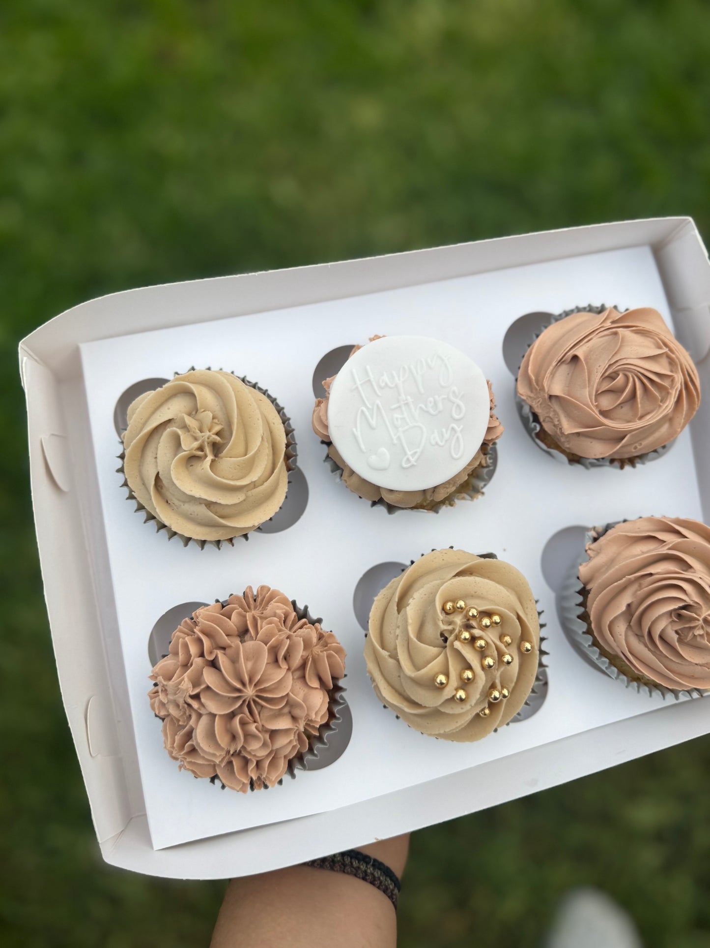 Cupcake Box