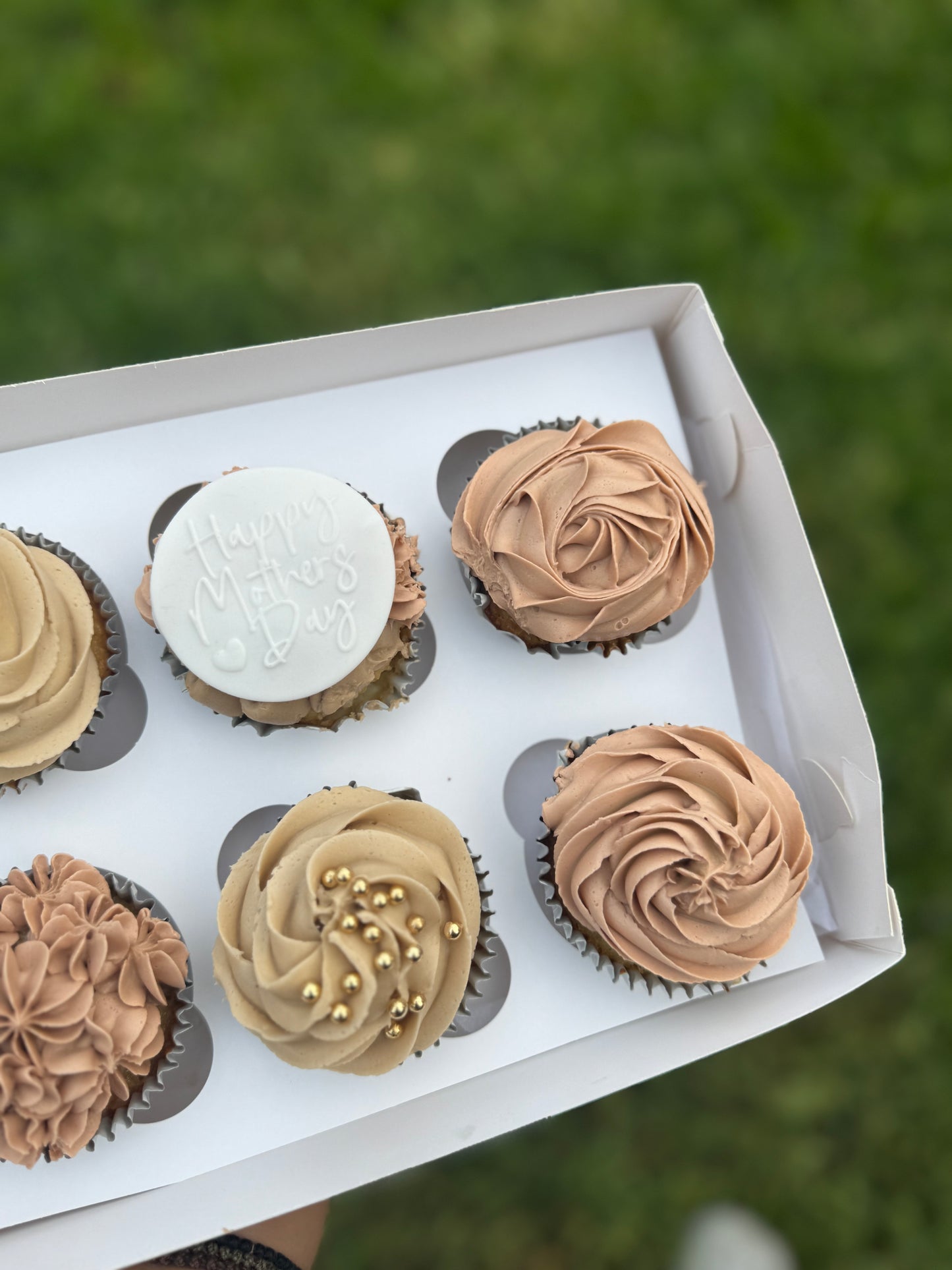 Cupcake Box