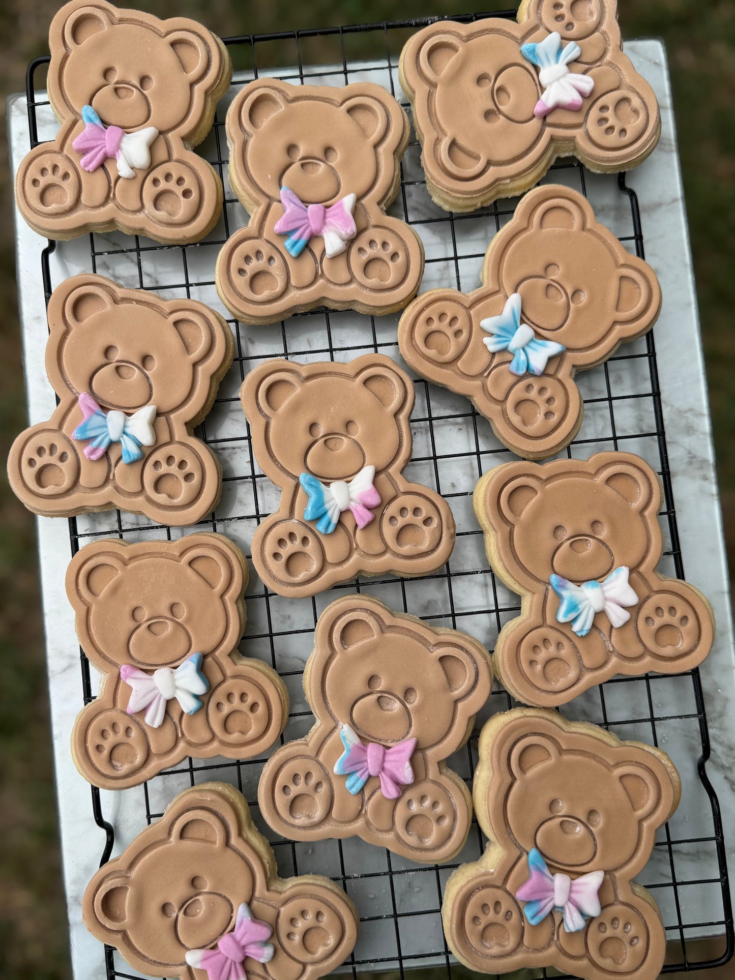 Bear Cookie