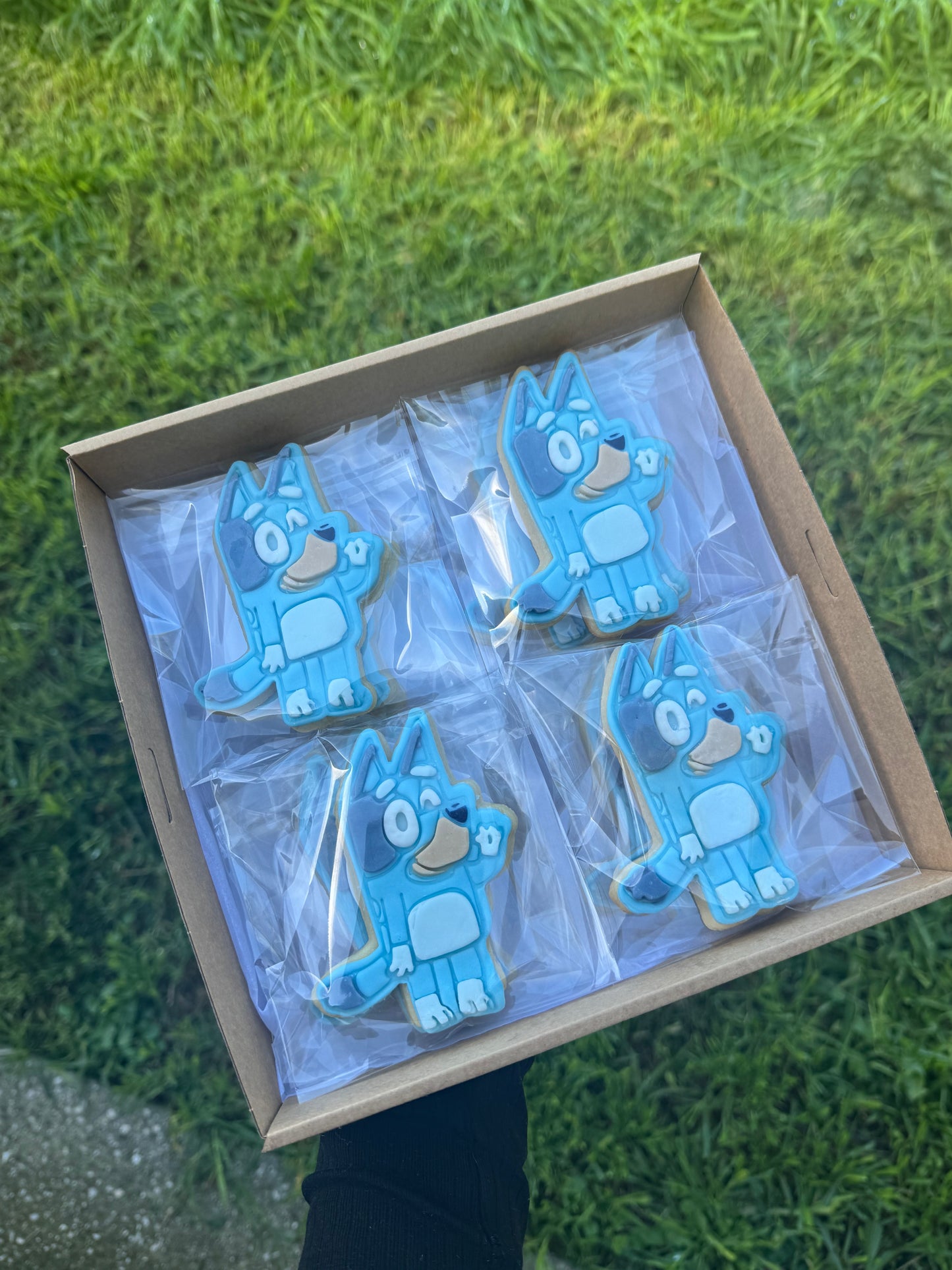 Bluey + Bingo Cookie