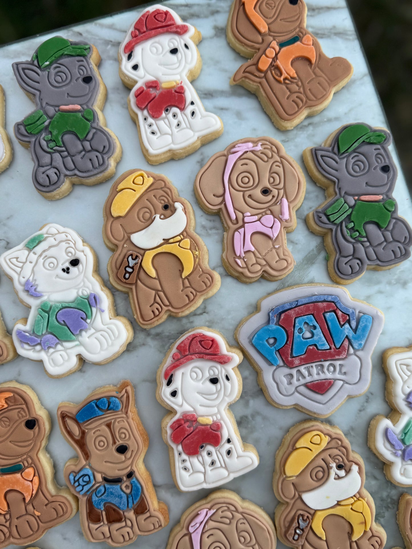 Paw Patrol Cookie